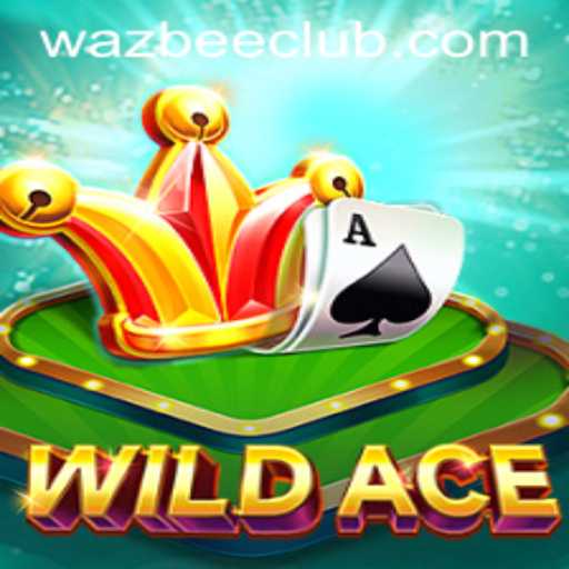 Exploring the Adventure of WildAce: A New Era in Gaming